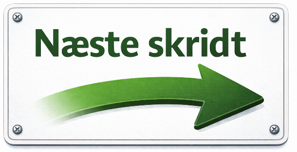Næste skridt