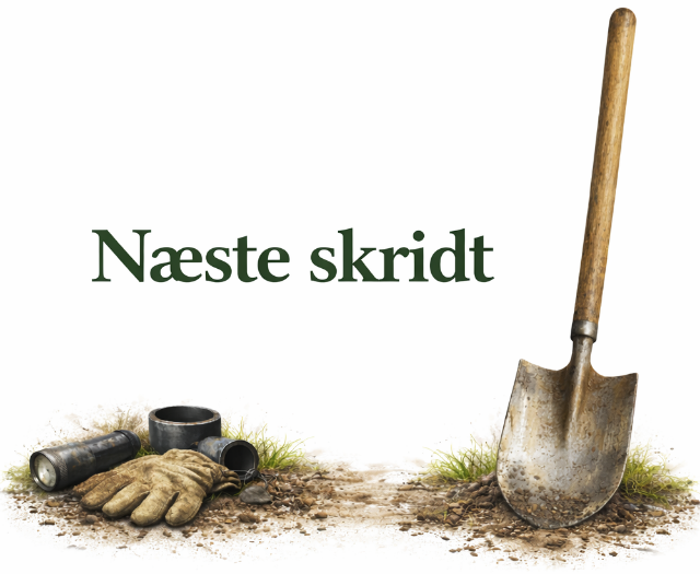 Næste skridt faskine